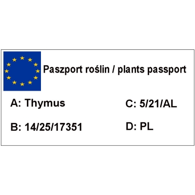 Tymianek Thymus vulgaris