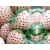 Truskawka biała  Fragaria ananasa 'Pinaberry’