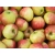 Jabłoń kolumnowa Malus 'Jonagold'