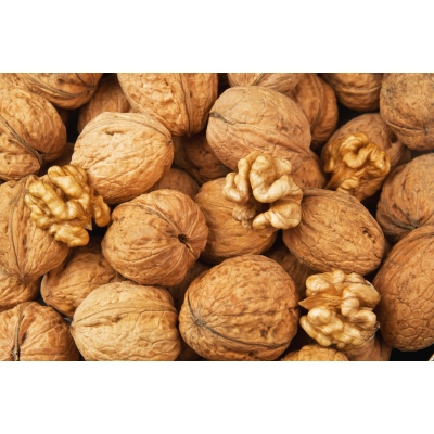Orzech włoski Juglans regia 'Resovia'