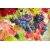 Winorośl, winogron Vitis ‘Alden’